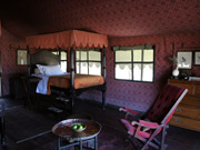 Vintage campaign furniture lends a classic safari atmosphere to the interior of a guest tent at Jack's Camp in the Makgadikgadi Pans, Botswana.