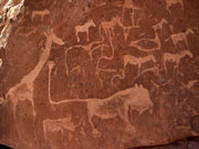 The San Bushman rock art in Damaraland, Namibia, is among the oldest on earth.