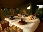 The morning sun illuminates the comfortable interior of a Discoverer mobile safari tent in the Okavango Delta, Botswana.